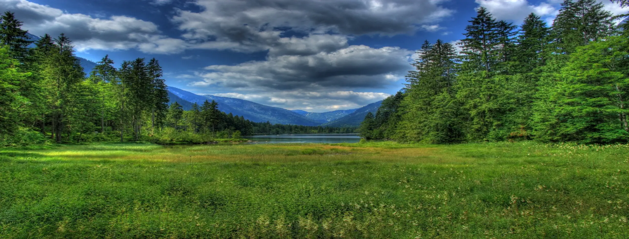 Image for Nature Escape